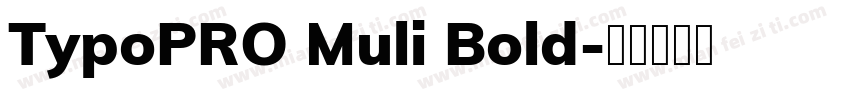 TypoPRO Muli Bold字体转换